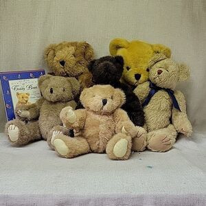 6 assorted Teddy Bears + Gift Book of Teddy Bears